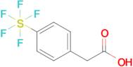 4-(Pentafluorosulfur)phenylacetic acid