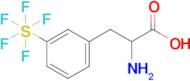 3-(Pentafluorosulfur)-DL-phenylalanine