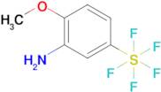 2-Methoxy-5-(pentafluorosulfur)aniline