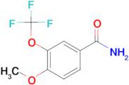 4-Methoxy-3-(trifluoromethoxy)benzamide