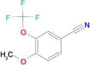 4-Methoxy-3-(trifluoromethoxy)benzonitrile