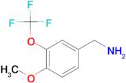 4-Methoxy-3-(trifluoromethoxy)benzylamine