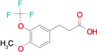 3-[4-Methoxy-3-(trifluoromethoxy)phenyl]propionic acid