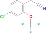 4-Chloro-2-(trifluoromethoxy)phenylacetonitrile