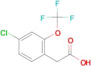 4-Chloro-2-(trifluoromethoxy)phenylacetic acid