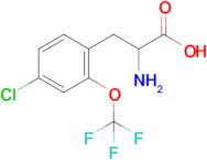 4-Chloro-2-(trifluoromethoxy)-DL-phenylalanine