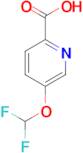 5-(Difluoromethoxy)picolinic acid