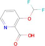 3-(Difluoromethoxy)picolinic acid