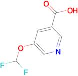 5-(Difluoromethoxy)nicotinic acid