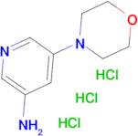 5-Morpholinopyridin-3-amine trihydrochloride