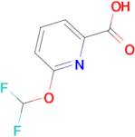 6-(Difluoromethoxy)picolinic acid