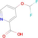 4-(Difluoromethoxy)picolinic acid