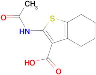 2-Acetylamino-4,5,6,7-tetrahydro-benzo[b]thiophene-3-carboxylic acid