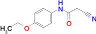 2-Cyano-N-(4-ethoxy-phenyl)-acetamide