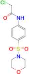 2-Chloro-N-[4-(morpholine-4-sulfonyl)-phenyl]-acetamide