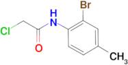 N-(2-Bromo-4-methyl-phenyl)-2-chloro-acetamide