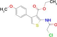 2-(2-Chloro-acetylamino)-4-(4-methoxy-phenyl)-thiophene-3-carboxylic acid ethyl ester