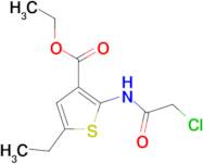 2-(2-Chloro-acetylamino)-5-ethyl-thiophene-3-carboxylic acid ethyl ester