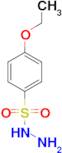 4-ethoxybenzenesulfonohydrazide