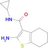 2-Amino-4,5,6,7-tetrahydro-benzo[b]thiophene-3-carboxylic acid cyclopropylamide