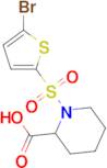 1-[(5-bromothien-2-yl)sulfonyl]piperidine-2-carboxylic acid