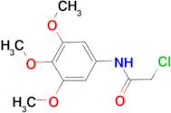 2-chloro-N-(3,4,5-trimethoxyphenyl)acetamide