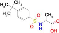 2-{[(4-tert-butylphenyl)sulfonyl]amino}propanoic acid