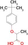 2-(4-tert-butylphenoxy)propanoic acid