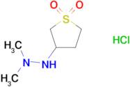 2-(1,1-dioxidotetrahydrothien-3-yl)-1,1-dimethylhydrazine hydrochloride