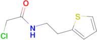 2-chloro-N-(2-thien-2-ylethyl)acetamide