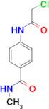 4-[(Chloroacetyl)amino]-N-methylbenzamide