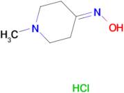 1-methylpiperidin-4-one oxime hydrochloride