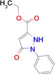 ethyl 5-oxo-1-phenyl-4,5-dihydro-1H-pyrazole-3-carboxylate