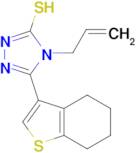 4-allyl-5-(4,5,6,7-tetrahydro-1-benzothien-3-yl)-4H-1,2,4-triazole-3-thiol