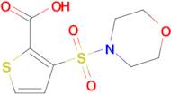 3-(morpholin-4-ylsulfonyl)thiophene-2-carboxylic acid