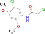 2-chloro-N-(5-chloro-2,4-dimethoxyphenyl)acetamide