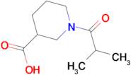 1-isobutyrylpiperidine-3-carboxylic acid