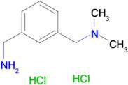 N-[3-(aminomethyl)benzyl]-N,N-dimethylamine dihydrochloride