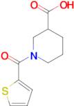 1-(thien-2-ylcarbonyl)piperidine-3-carboxylic acid