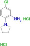 5-chloro-2-pyrrolidin-1-ylaniline dihydrochloride