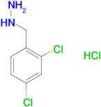 (2,4-dichlorobenzyl)hydrazine hydrochloride