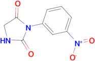 3-(3-nitrophenyl)imidazolidine-2,4-dione