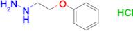 1-(2-phenoxyethyl)hydrazine hydrochloride