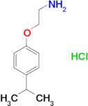 1-(2-aminoethoxy)-4-(propan-2-yl)benzene hydrochloride