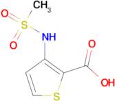 3-methanesulfonamidothiophene-2-carboxylic acid