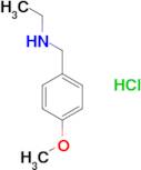 Ethyl[(4-methoxyphenyl)methyl]amine hydrochloride