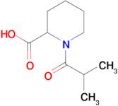 1-(2-methylpropanoyl)piperidine-2-carboxylic acid