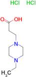 3-(4-ethylpiperazin-1-yl)propanoic acid dihydrochloride