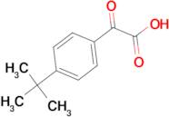 (4-tert-Butylphenyl)glyoxylic acid