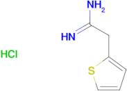 2-(thiophen-2-yl)ethanimidamide hydrochloride